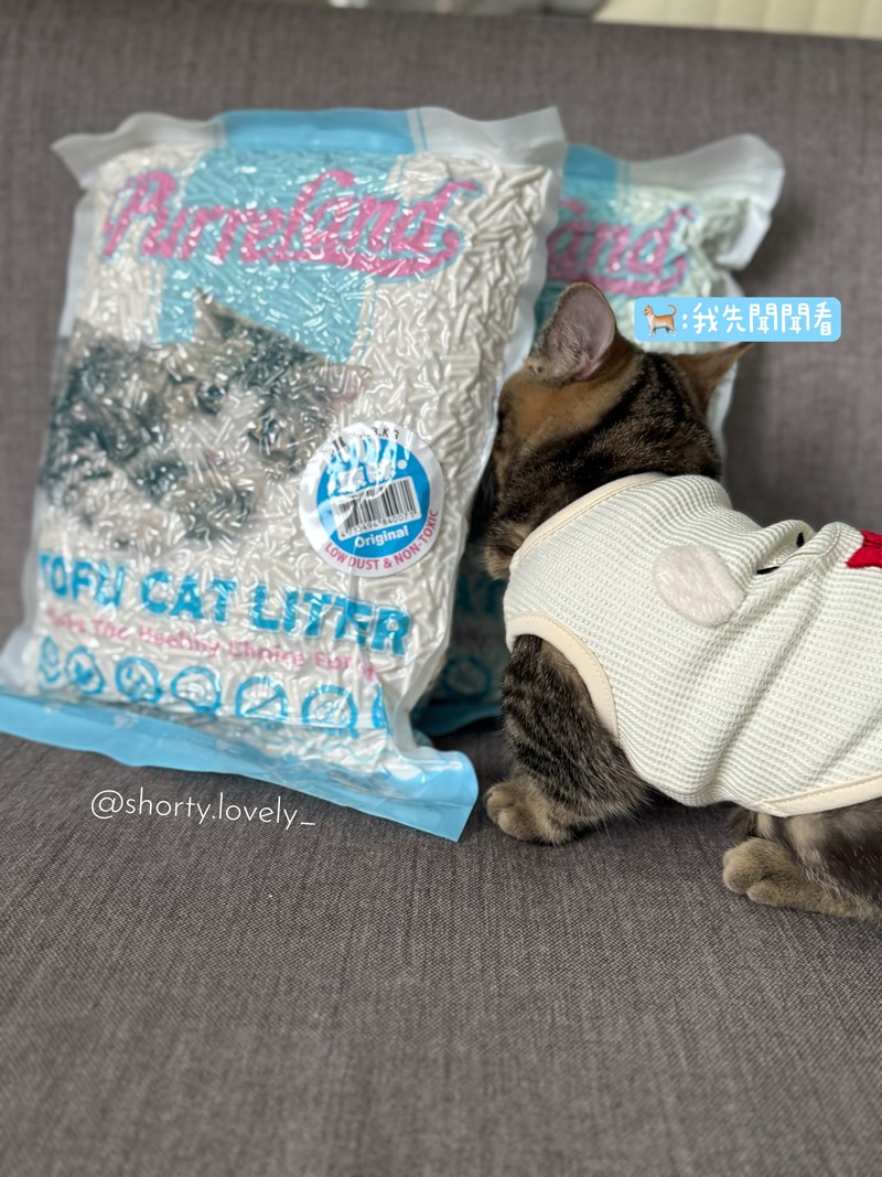 女人知己試用大隊,口碑行銷,部落客行銷,PurreLand 倍淨豆腐貓砂,好市多購買,COSTCO購買,豆腐貓砂,PurreLand倍淨,低粉塵,易清理,可沖馬桶,提供絕佳的除臭與凝結力,豆腐貓砂評價,貓砂評價,使用心得,貓砂分享,好用,原味,綠茶,豆腐砂,水量需完全覆蓋貓砂,水量需貓砂的2~3倍以上,豆腐砂評價,高CP值,划算